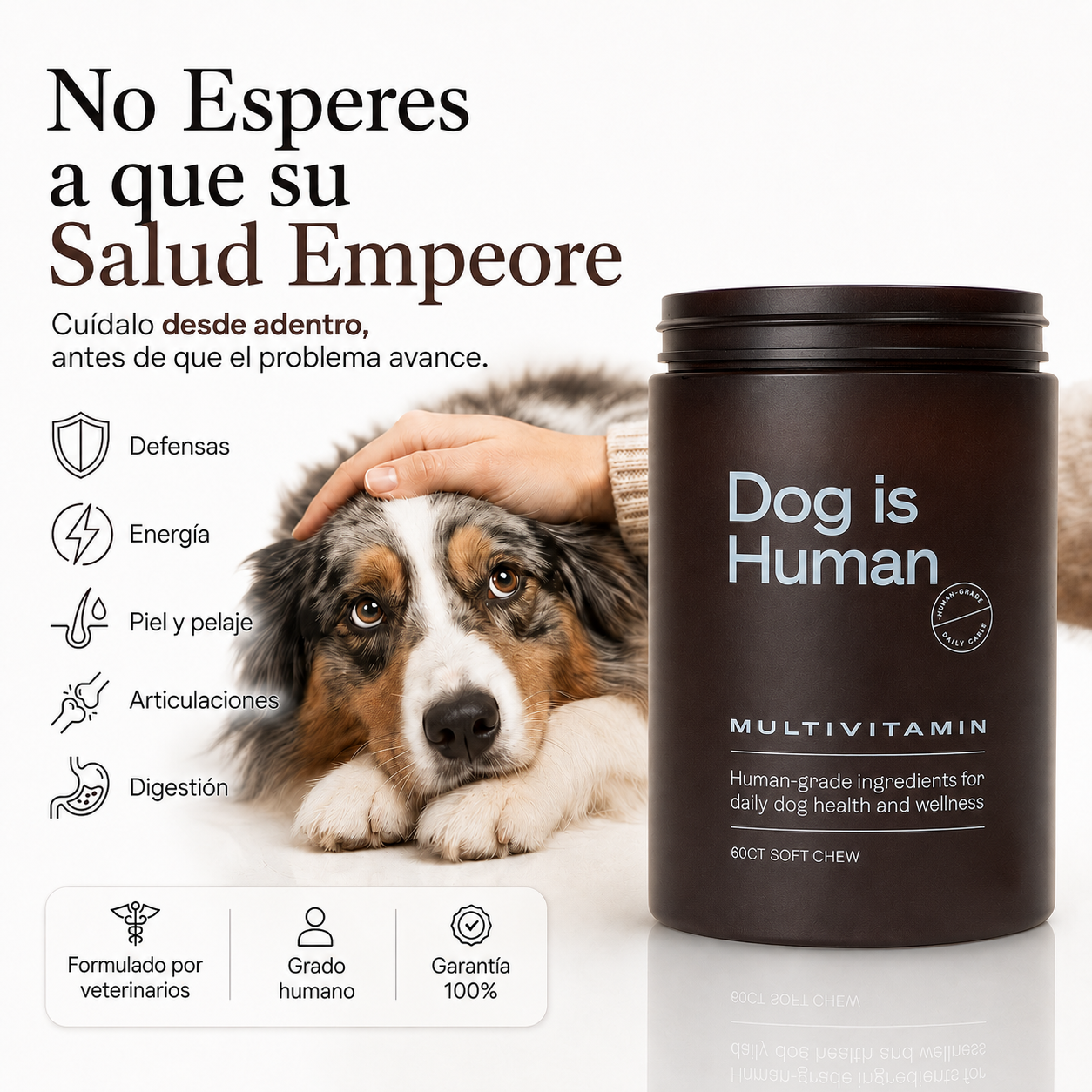 Dog is Human / No Esperes a que su Salud Empeore