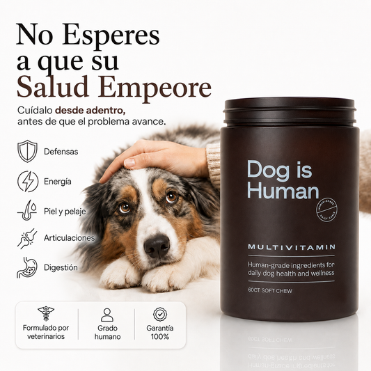 Dog is Human / No Esperes a que su Salud Empeore